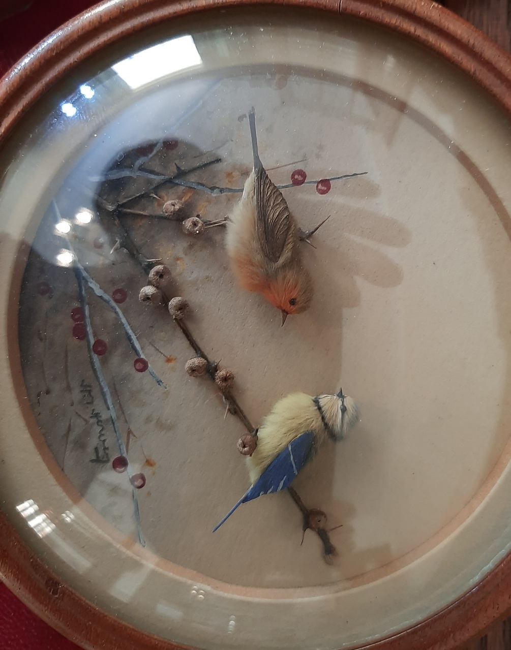 Robin and Blue Tit (Version 3) (5-inch)